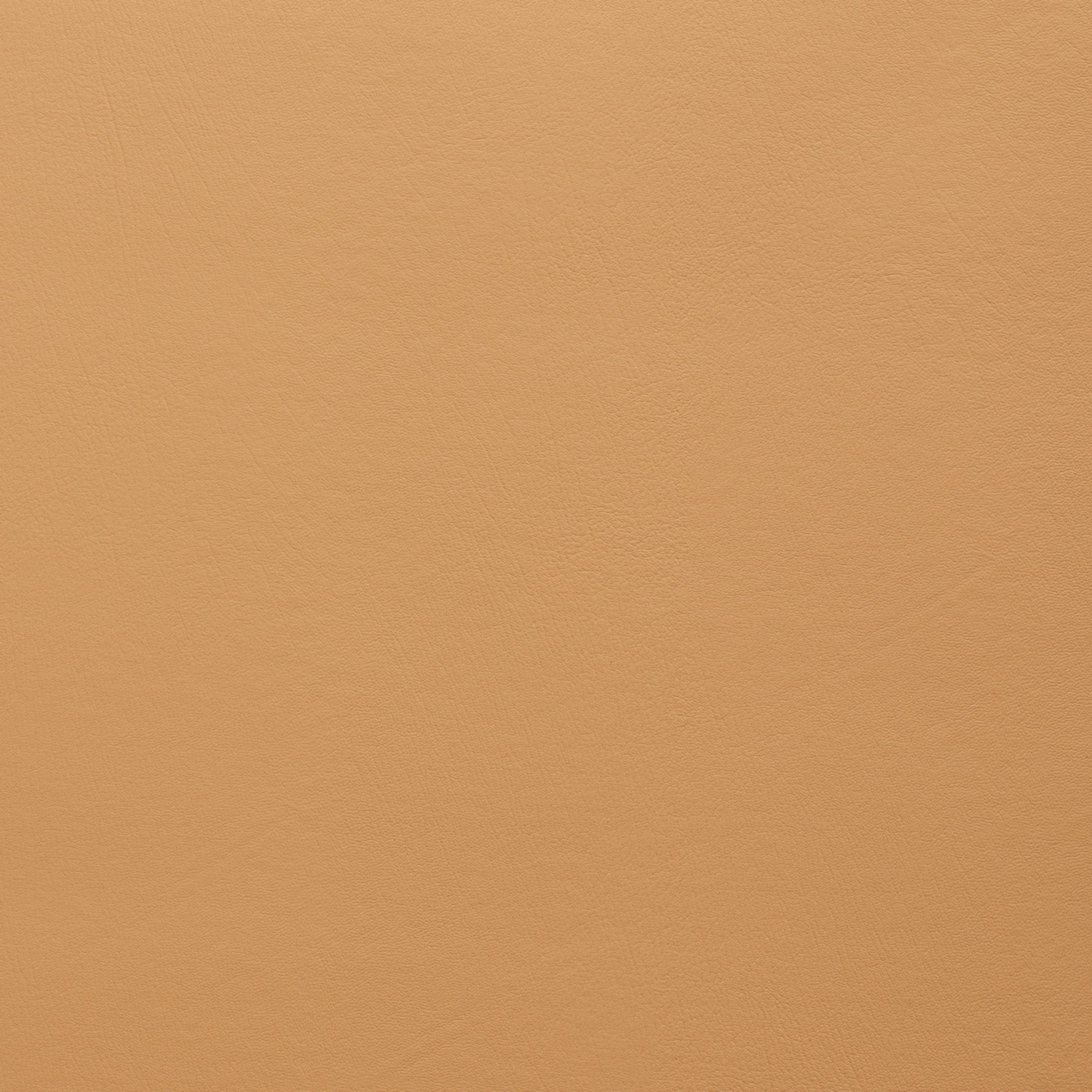 キャメル　CAMEL COLORGUARD-43915200-CAMELBACK | United Fabrics