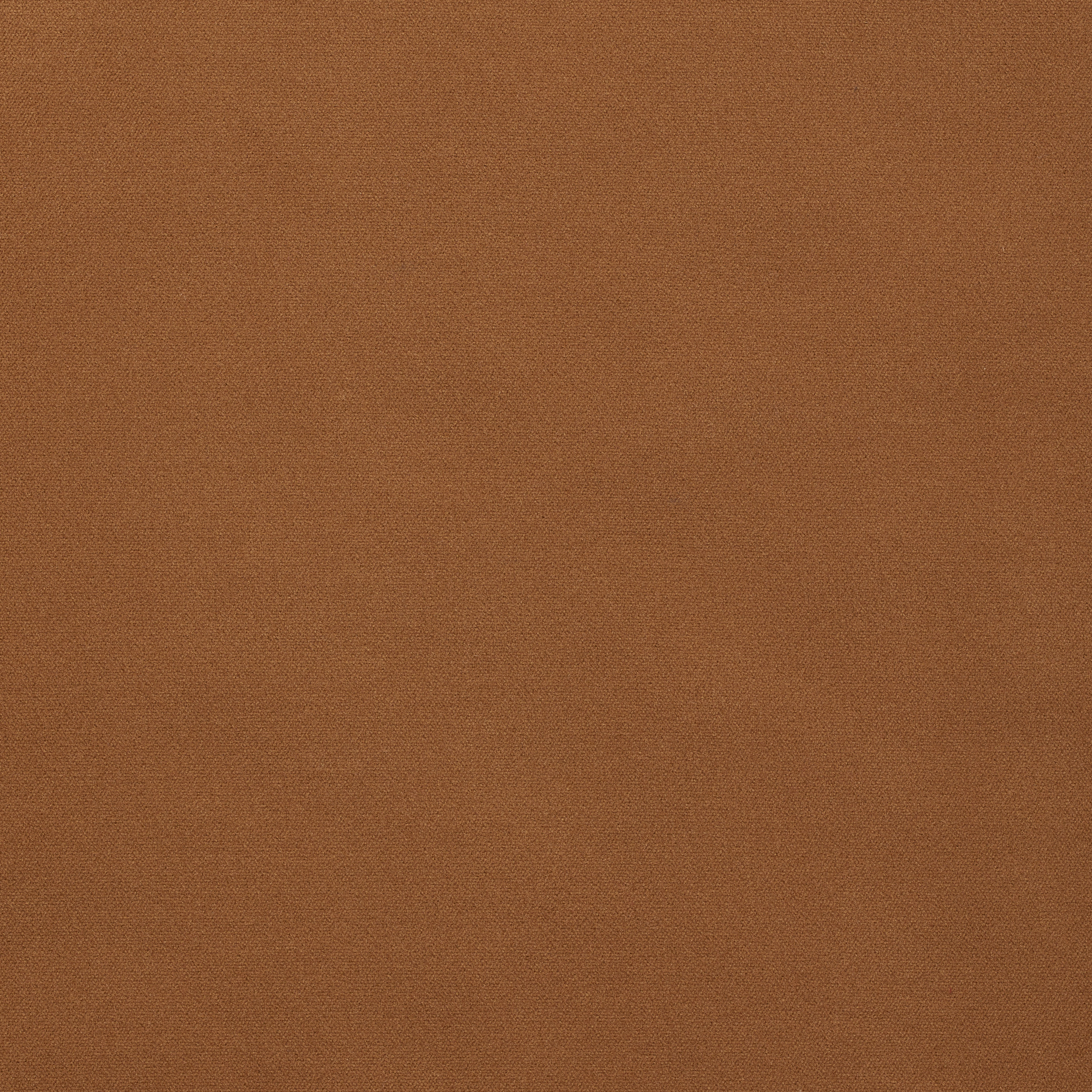 ベルトリグ　TANカラー FELIX-32-HAZELNUT | United Fabrics