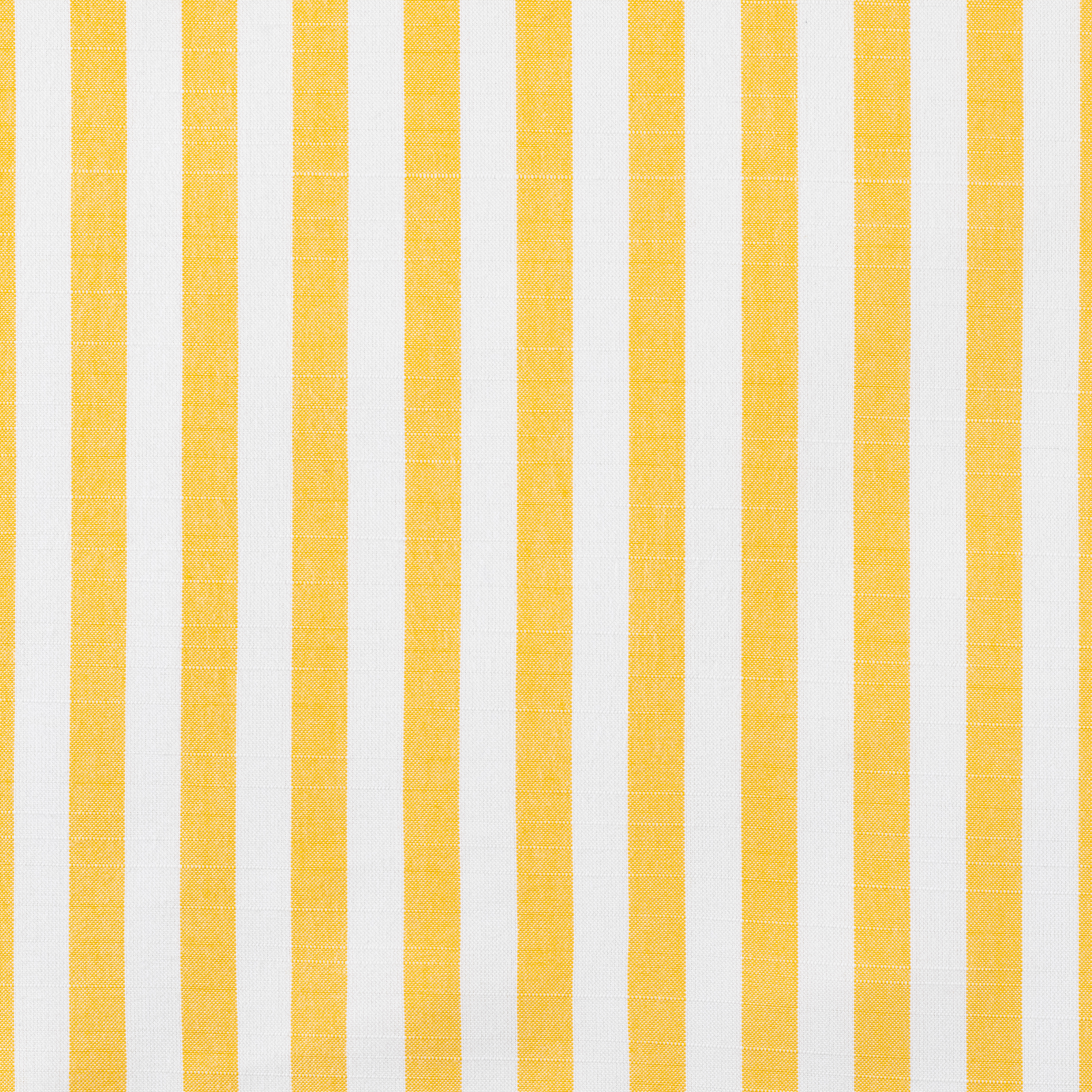 sail-away-sunflower-40606-0001