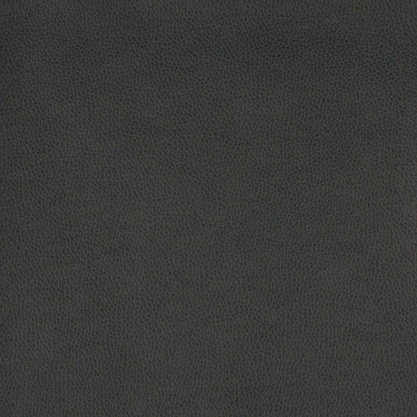 Order Wty WTY-101 ASPHALT | United Fabrics
