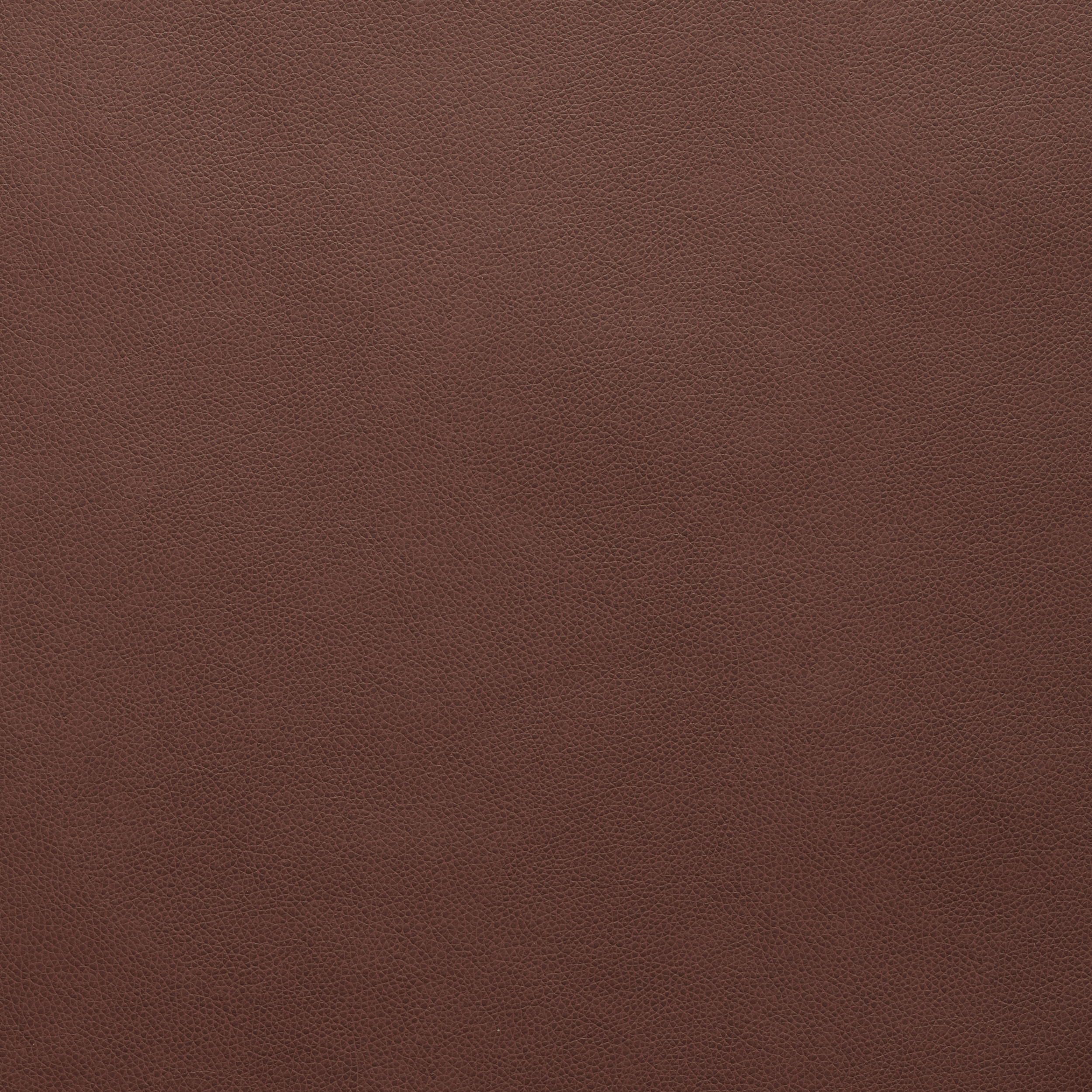WTL-005 EARTH | United Fabrics