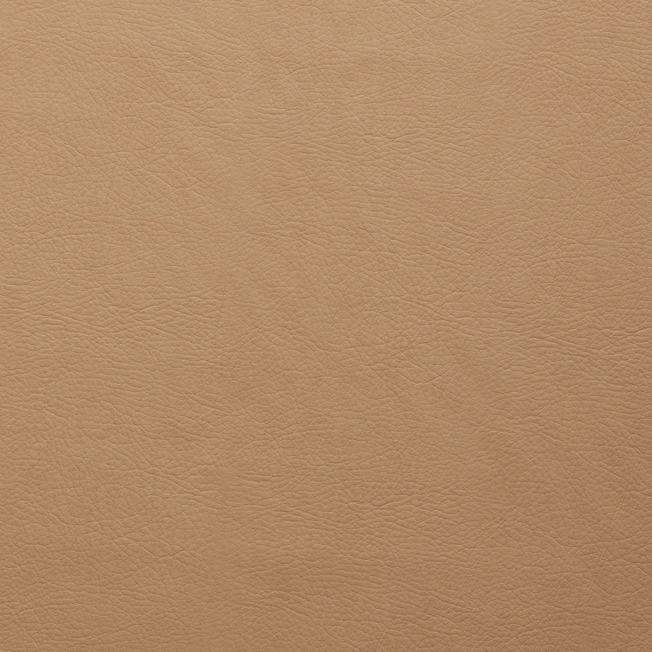 WHI-2118-CAMEL | United Fabrics