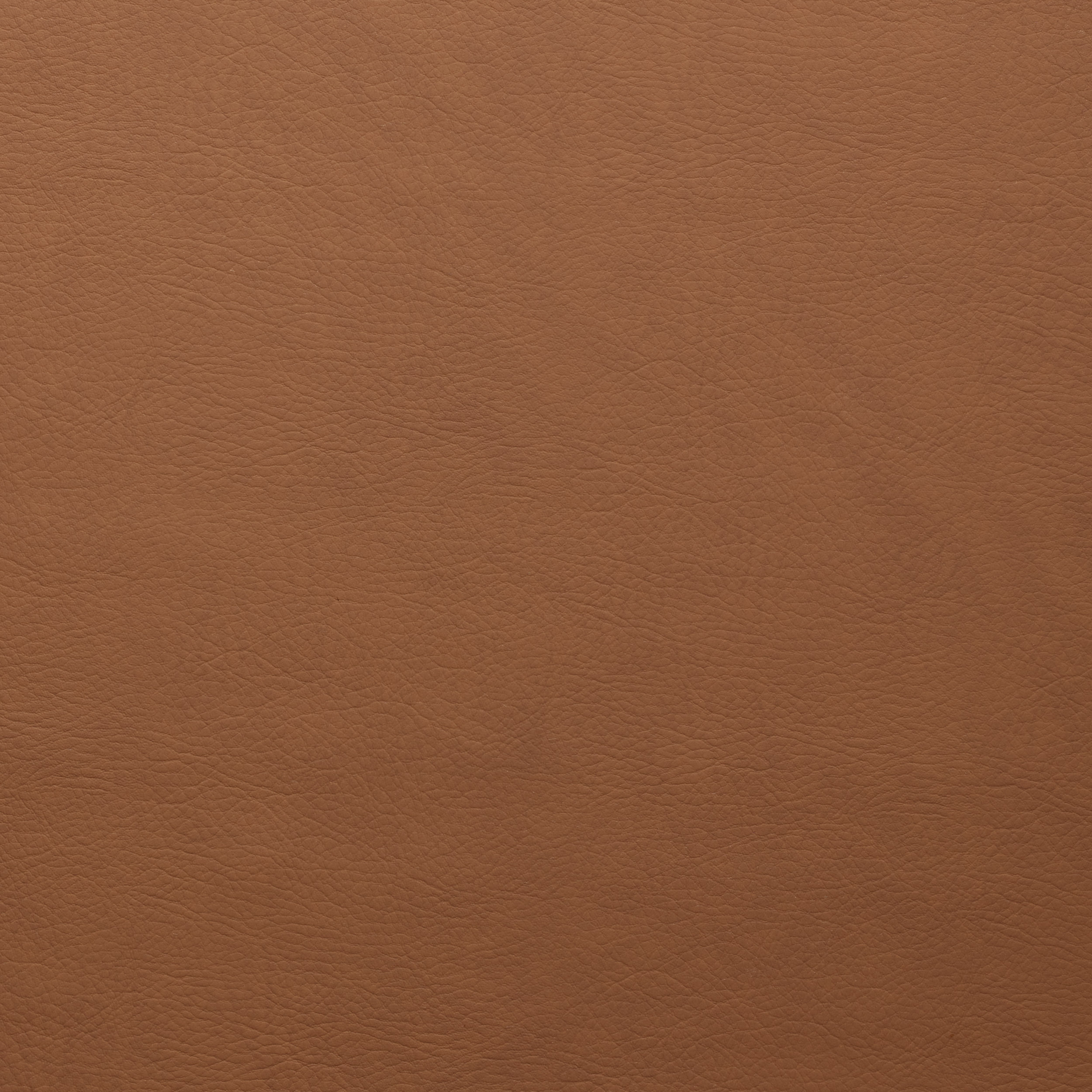 whisper-whi-2142-cognac.jpg