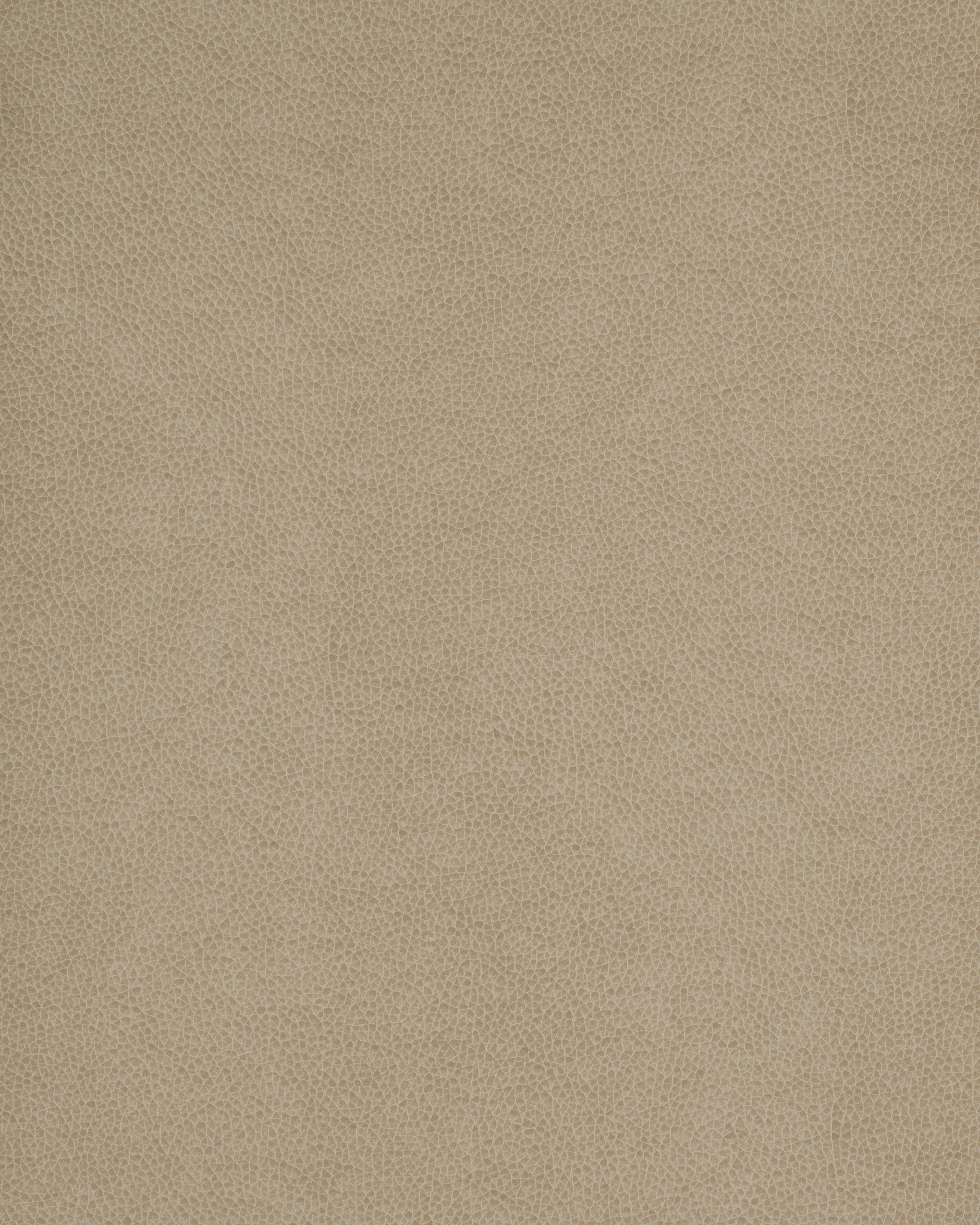 Order Wty WTY-112 INTRIGUE | United Fabrics